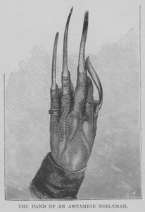 Die Hand eines annamesischen Edelmanns (Gravur)
