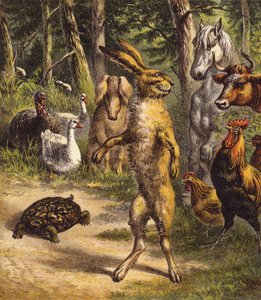 Der Hase und die Schildkröte von English School