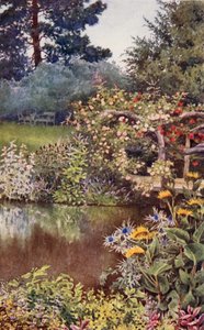 Der Kräutergarten: Kräuter am Wasser von English School
