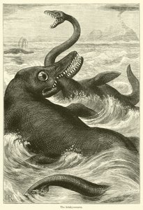 Der Ichthyosaurus von English School