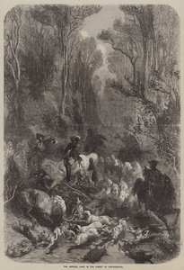 Die kaiserliche Jagd im Wald von Fontainebleau (Gravur) von English School