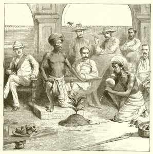 Der indische Pflanzentrick von English School