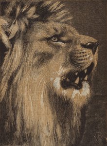 Der König des Waldes von English School