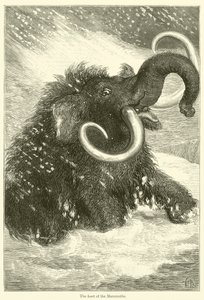 Das letzte der Mammuts (Stich) von English School