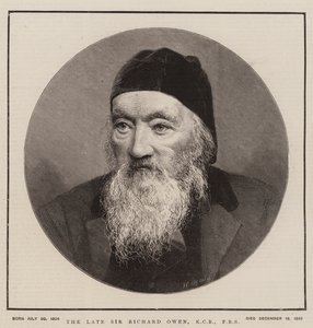 Der verstorbene Sir Richard Owen, KCB, FRS (Gravur) von English School
