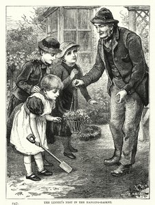 Das Nest des Hänflings im Hängekorb (Gravur) von English School