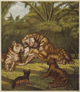 Der Empfang des Löwen (Farblithografie) von English School
