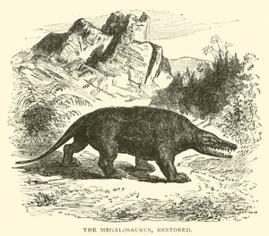 Der Megalosaurus, restauriert von English School