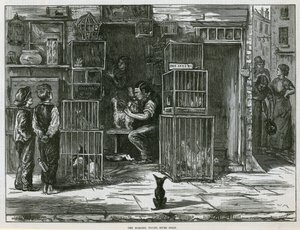 Die Morgentoilette, Seven Dials