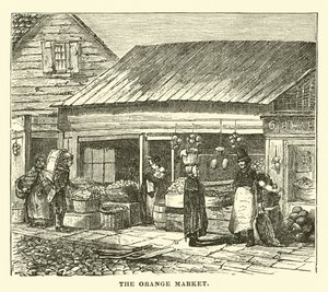 Der Orangenmarkt von English School