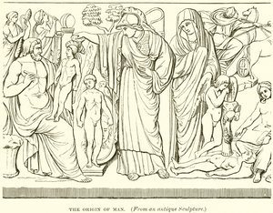 Der Ursprung des Menschen von English School