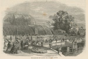 Das Palmenhaus, Kew Gardens, London von English School