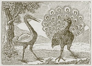 Der Pfau und der Kranich von English School