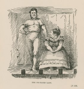 Die Schweinegesichtige Dame von English School