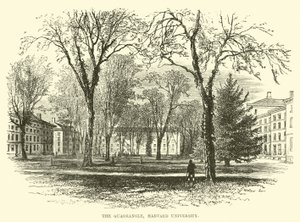 Der Innenhof, Harvard University