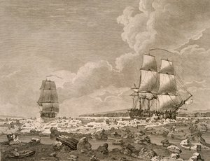 Das Rennpferd und der Kadaver, die sich durch das Eis zwängen, 10. August 1773, aus A Voyage Towards the North Pole Undertaken by His Majesty