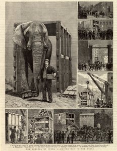 Die Entfernung von Jumbo von English School