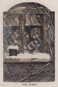 Das Rotkehlchen (farbige Gravur) von English School