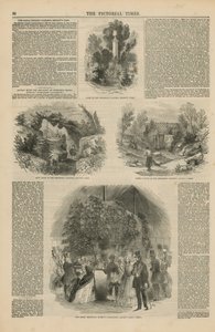 Die Königlichen Botanischen Gärten von English School