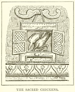 Die heiligen Hühner von English School
