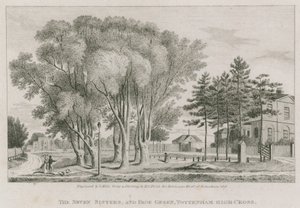 Die Sieben Schwestern und Page Green, Tottenham High-Cross, London