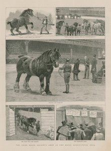 Die Shire Horse Society Schau in der königlichen Landwirtschaftshalle von English School