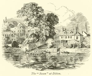 Der Schwan in Ditton von English School