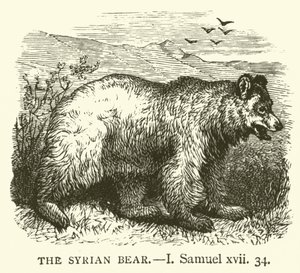 Der syrische Bär (I, Samuel, xvii, 34) von English School