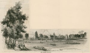 Die Thames Regatta von English School
