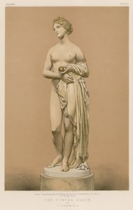 Die getönte Venus von J. Gibson, R.A. von English School