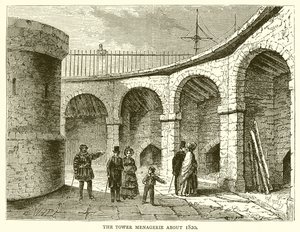 Die Menagerie im Tower um 1820 von English School