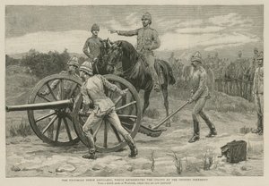 Die viktorianische Pferdeartillerie