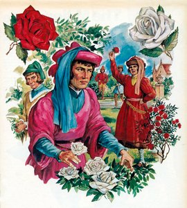 Der Rosenkrieg