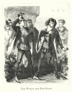 Die weißen und roten Rosen (Gravur) von English School