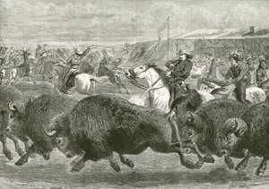 Der Wilde Westen bei der Great American Exhibition - Jagd auf Bisons und Wapiti-Hirsche von English School