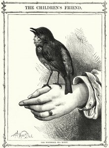 Der Woodhall Spa Robin (Gravur) von English School