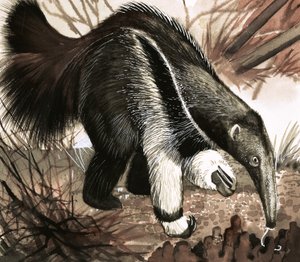 Der Ameisenbär von English School