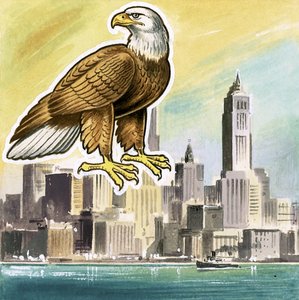 Der Weißkopfseeadler, Emblem der Vereinigten Staaten von English School