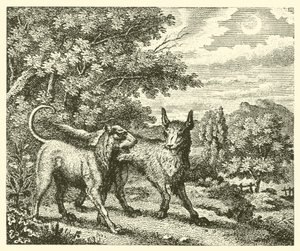 Der Hund und der Wolf (Gravur) von English School