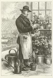 Der Florist