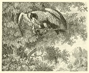 Der Falke und die Nachtigall (Gravur) von English School