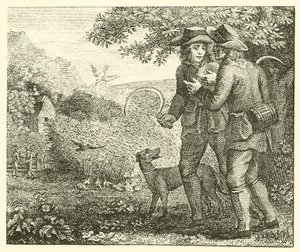 Die Lerche und ihre Jungen von English School