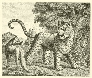 Der Leopard und der Fuchs von English School
