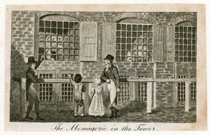 Die Menagerie im Tower of London um 1820 von English School