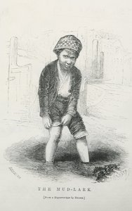 Der Schlamm-Lark von English School