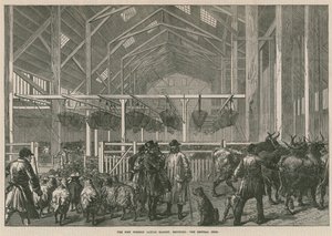 Der neue ausländische Viehmarkt, Deptford, London - die zentrale Halle von English School