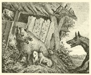 Die Sau und der Wolf