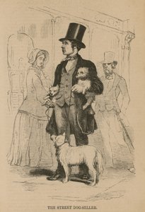 Der Straßenhunde-Verkäufer von English School