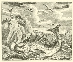 Der Thunfisch und der Delfin (Gravur) von English School