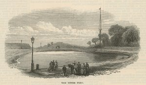 Der obere Teich, Hampstead Heath von English School